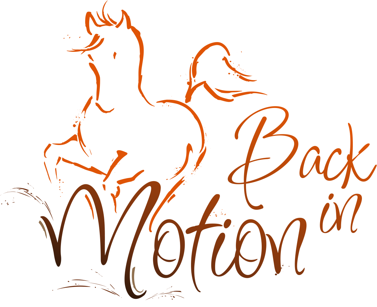 Back In Motion Logo